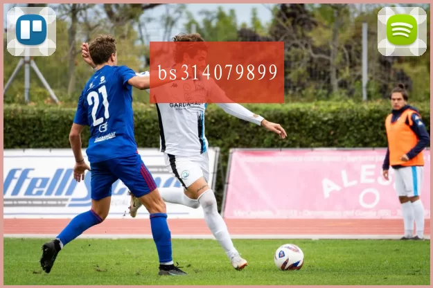bs314079899