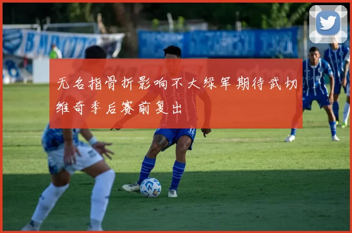 无名指骨折影响不大绿军期待武切维奇季后赛前复出