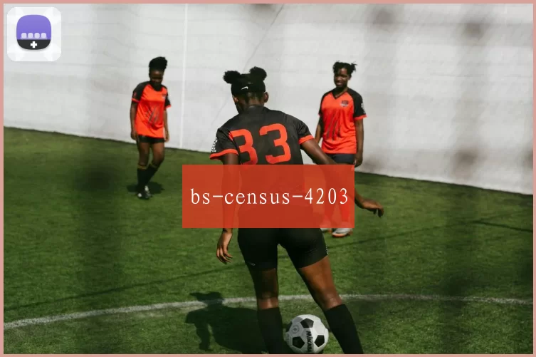 bs-census-4203